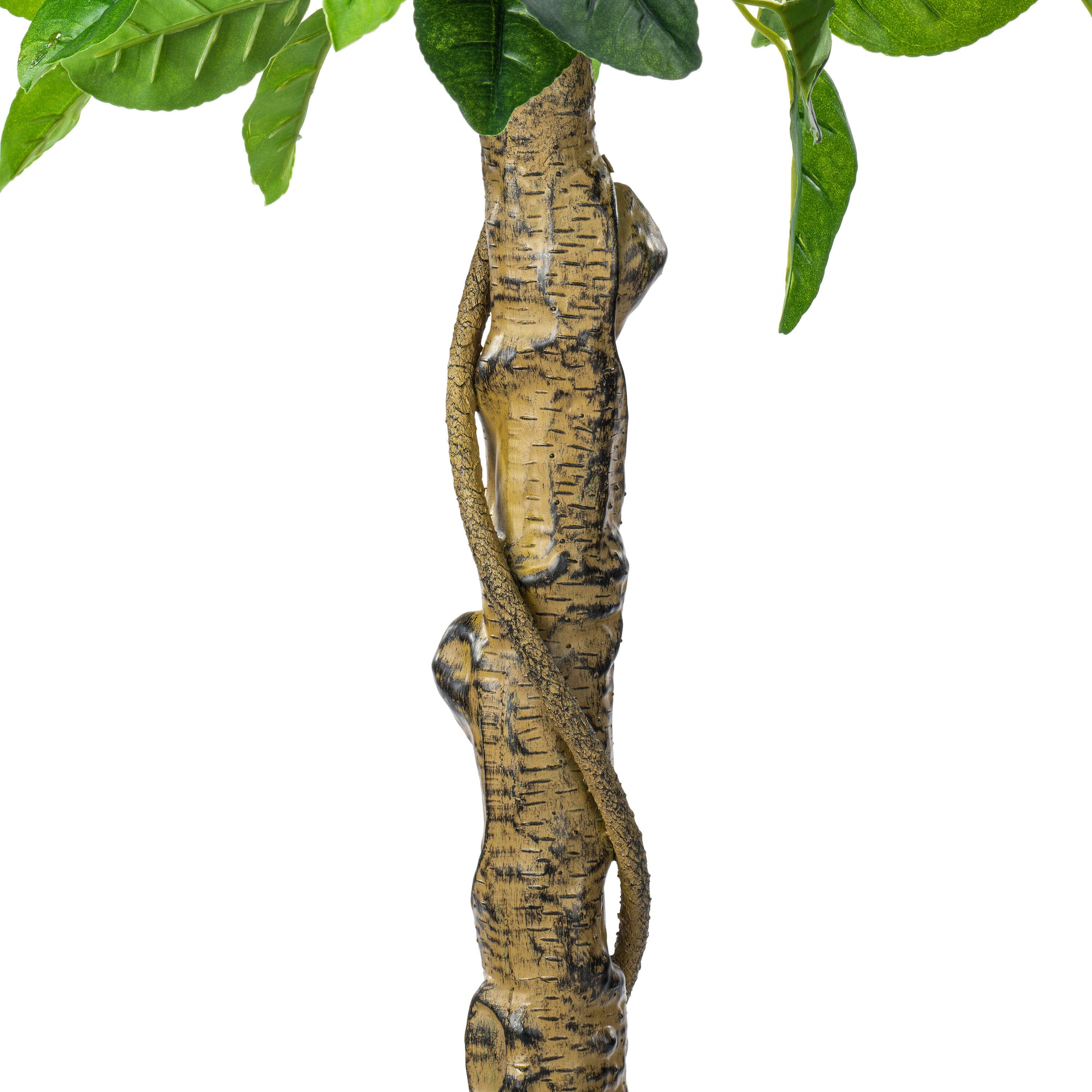 4ft. Potted Lemon Tree